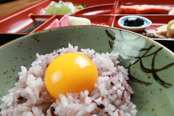 【朝食一例】光り輝く奥久慈しゃもの新鮮・濃厚なたまご！是非ご賞味あれ★