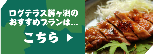 ログテラス鰐ヶ渕のおすすめプランはこちら